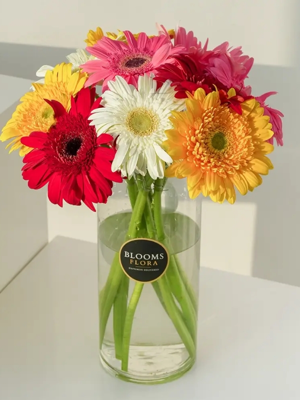  Antalya Lara Çiçek Gönder - Vazoda Rengarenk Jerberalar